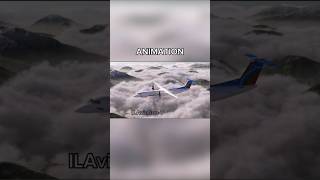 Bangla flight 211 animation Vs real life  part12 shorts [upl. by Aridni]