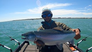 Atlantic Salmon Caught While Trolling Spring Cohos Racine Wisconsin 2 man limit [upl. by Asihtal]