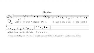 Magnificat Antiphon quotQuaerite primumquot for Vespers 14th Sunday after Pentecost [upl. by Wilhelmine350]