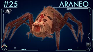 TODO SOBRE EL ARANEO 25  ARK Survival Evolved  Dossiers La Isla [upl. by Enautna]