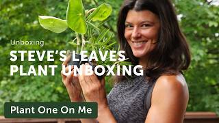 Houseplant Unboxing with STEVES LEAVES — Ep 387 [upl. by Dlorej]