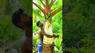 TREE SAVEtamil song viralvideo vivasayi trendingtamilsongs 90kids இயற்கைவிவசாயம் [upl. by Constance]