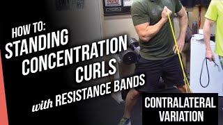 How to do Standing Concentration Curls Contralateral Variation Best Resistance Bands Exercises [upl. by Livesay]