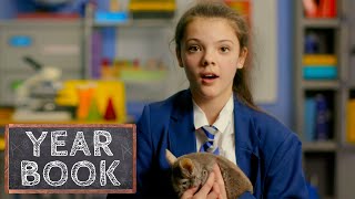 Schoolgirl Given a Chinchilla to Help with Her Anxiety  Educating  Our Stories [upl. by Tegirb]