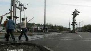 Idiot runs around lowered crossing gates [upl. by Inaflahk449]