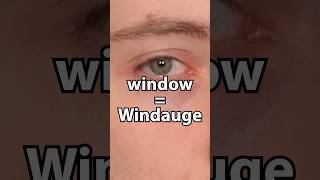 window  Windauge [upl. by Lindsy]