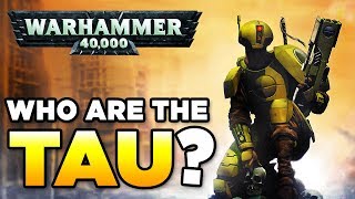 THE TAU  RACE OVERVIEW  Beginners Guide  WARHAMMER 40000 Lore  History [upl. by Violette]