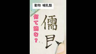 難読クイズ♪学校では教えてくれない！何て読む？哺乳類 音楽もヒントだよ calligraphy handwriting 美文字 漢字 筆ペン 漢検 japaneseculture [upl. by Anairb395]