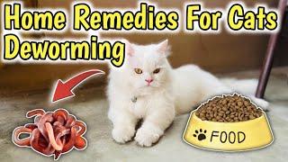 How to Deworm a cat with Home Remedies  Home Remedies for Deworming Cats  Cat Worms Treatment [upl. by Elmer]