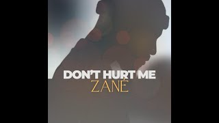 ZANÉ  Dont Hurt Me Acoustic Video Lyrics [upl. by Aenert]