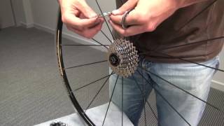 Vídeo Tutorial sobre Cómo Cambiar Piñones  Casette De Bicicleta 🚴 [upl. by Buff429]