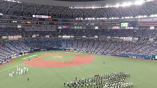 オリックスバファローズ1～9 京セラドーム2024 ライト上段席 [upl. by Cida]