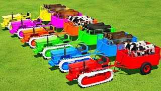 TRANSPORTING COWS WITH FIAT MINI TRACTORS amp MAN TRUCKS   Farming Simulator 22 [upl. by Ailina]