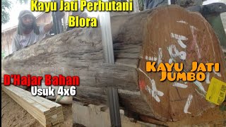 Saudagar kaya tak peduli🤔Jati Jumbo DM 50290 dhajar Bahan usuk size 4x6😭kayu jati perhutani Blora [upl. by Leunamme]