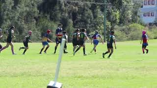 2024 U11A Plate Final  Western Raptors v Harbord Harlequins [upl. by Anse]