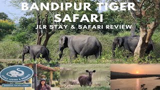 Bandipur National Park  JLR Stay and Safari  Leopard spotting [upl. by Htrahddis]