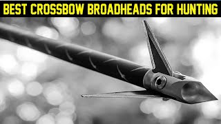 Top 7 Best Crossbow Broadheads For Hunting 2022 [upl. by Drawoh214]