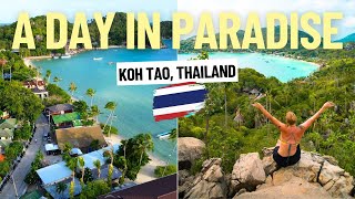 Day in the life in tropical paradise 🌴 spending a month on Koh Tao Thailand [upl. by Jaf461]