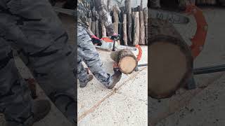 nature stihl firewood viralvideo garden wood travel [upl. by Assilem]