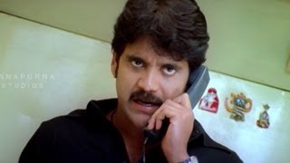 Nagarjuna Giving Warning To Rahul Dev Action Scene  Mass Movie [upl. by Robin842]