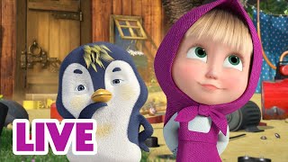 🔴 LIVE STREAM 🎬 Masha and the Bear 🙃 Its sabotage 🌪️🙈 [upl. by Cherise231]