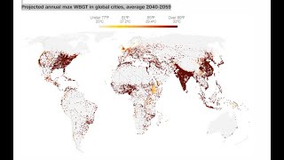 These cities will be too hot for the Olympics by 2050 paris olympics [upl. by Einnod523]