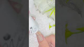 Elegant nail art design💅 nails naildesign viral shorts shortvideos youtubeshorts trending [upl. by Kcirrez]