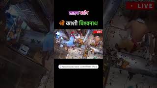 Kashi Vishwanath Live Darshan uttarpradesh kashivishwanath kashi [upl. by Ahseina652]