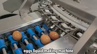 eggs liquid making machinery for eggs products production line [upl. by Cyndi]