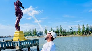 Seahorse view in Kampot city [upl. by Yelnats440]