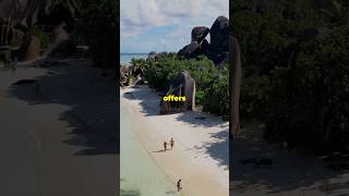 Discover Constance Ephelia Seychelles [upl. by Aneles]