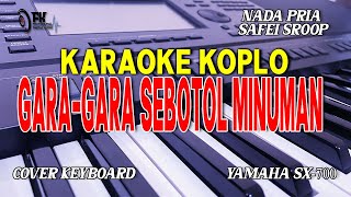 GARA GARA SEBOTOL MINUMAN KARAOKE KOPLO NADA PRIA [upl. by Saenihp]