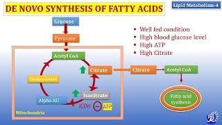 4 De Novo synthesis of Fatty acid  Lipid metabolism4  Biochemistry  NJOY Biochemistry [upl. by Ylrbmik]