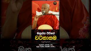 මනුස්ස ජිවිතේ වටිනාකම😯🍃 Venerable Welimada Saddaseela Thero [upl. by Annabell]