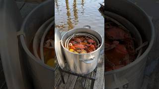 Louisiana blue crab boil louisiana crab shorts [upl. by Analaf]