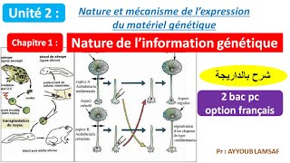 Nature de linformation génétique svt 2 bac pc option français شرح بالداريجة [upl. by Tamsky]