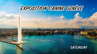 Exposition Canine Genève  SATURDAY [upl. by Ycnay]