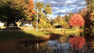 Shop Pond Hampstead NH [upl. by Jocko]