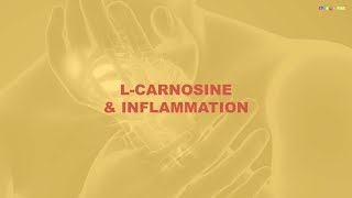 Carnosine and Alcoholism Reproduction Inflammation and Longevity [upl. by Nahtannhoj]