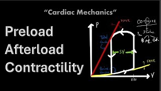 Cardiac Mechanical Functions for Medical students  2024 ver  The Pacemaker [upl. by Elmira]