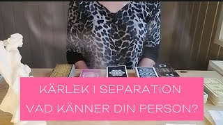 Vad känner din person Kärlek i separation 6 stjärntecken resten kommer imorgon [upl. by Ariaet810]