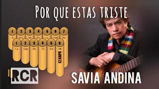 Savia Andina  Por que estas triste en ZAMPOÑA Tutorial [upl. by Onaivlis]