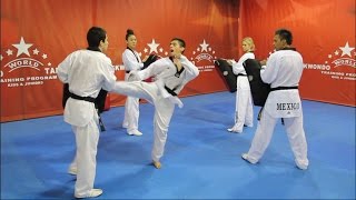 WORLD TAEKWONDO TRAINING PROGRAM DVDNO3 [upl. by Franchot675]