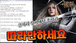 TL 근거리계열클래스선택 직업별 장비세팅 설명 종결 쓰론앤리버티 [upl. by Jamnis]