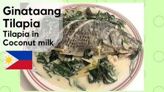 How to Cook Ginataang Tilapia  Tilapia in Coconut Milk [upl. by Einram]