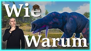 ARK Taming Guide  Phiomia zähmen und seine Fähigkeiten mit Humor [upl. by Ryhpez]