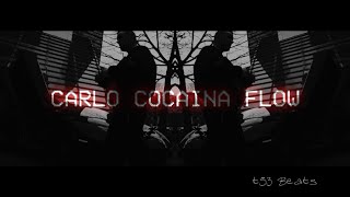 quotCARLO COCAINA FLOWquot  Free Fler  Jalil Type Beat prod by t53 [upl. by Lundberg402]