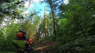 Attention  On va manoeuvrer  🤣 gopro hero 8 black☠ [upl. by Atsylak]