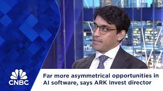 Far more asymmetrical opportunities in AI software says ARK Invest Europe managing director [upl. by Etram]