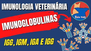 Imunoglobulinas anticorpos igG igM igA e igE  Estrutura e Função  Imunologia veterinária [upl. by Bornie]